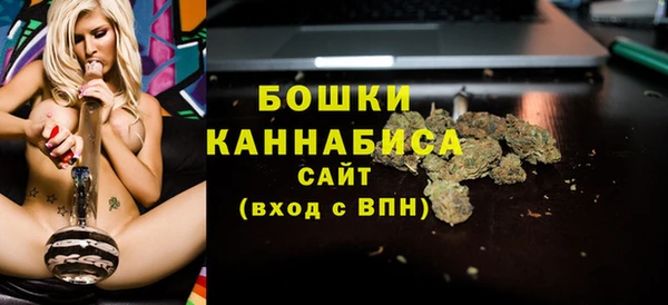 гашик Новодвинск