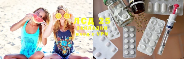 гашик Новодвинск