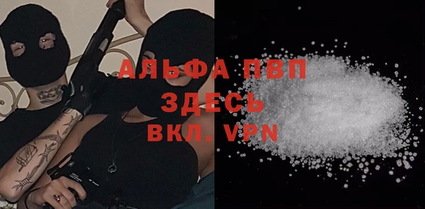 гашик Новодвинск