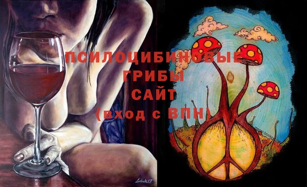 гашик Новодвинск