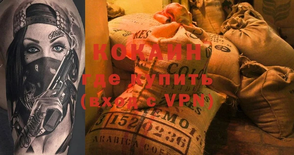 гашик Новодвинск