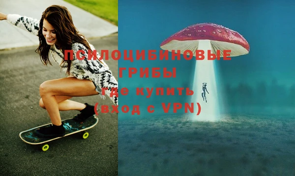 гашик Новодвинск