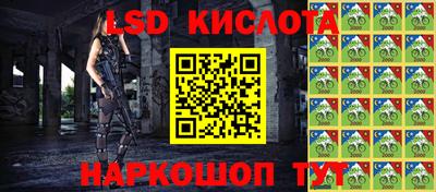 ешки Гай