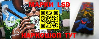 mdpv Гатчина