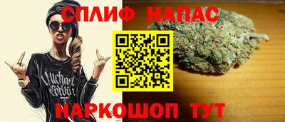 mdpv Гатчина