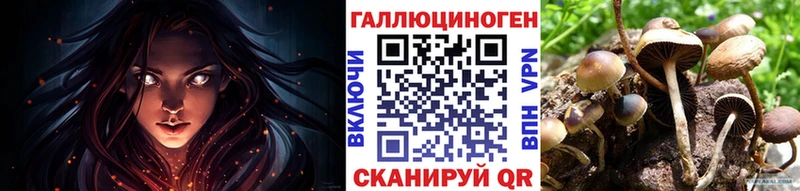 блэк спрут tor  купить закладку  Рязань  Псилоцибиновые грибы Psilocybine cubensis 