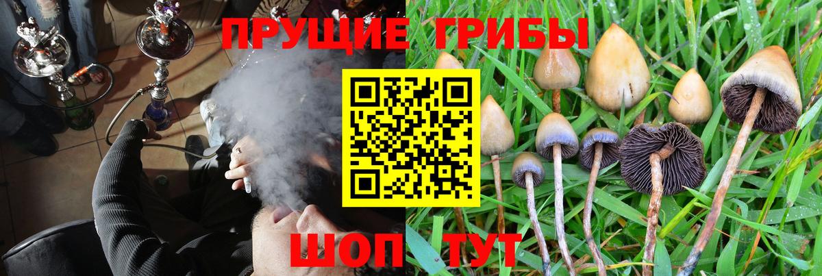 Псилоцибиновые грибы ЛСД Рязань